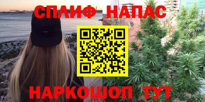 mdpv Новозыбков