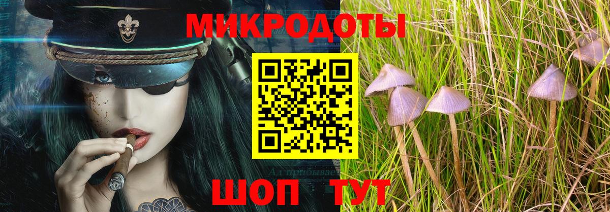 Псилоцибиновые грибы прущие грибы  Вход с VPN  Сланцы 