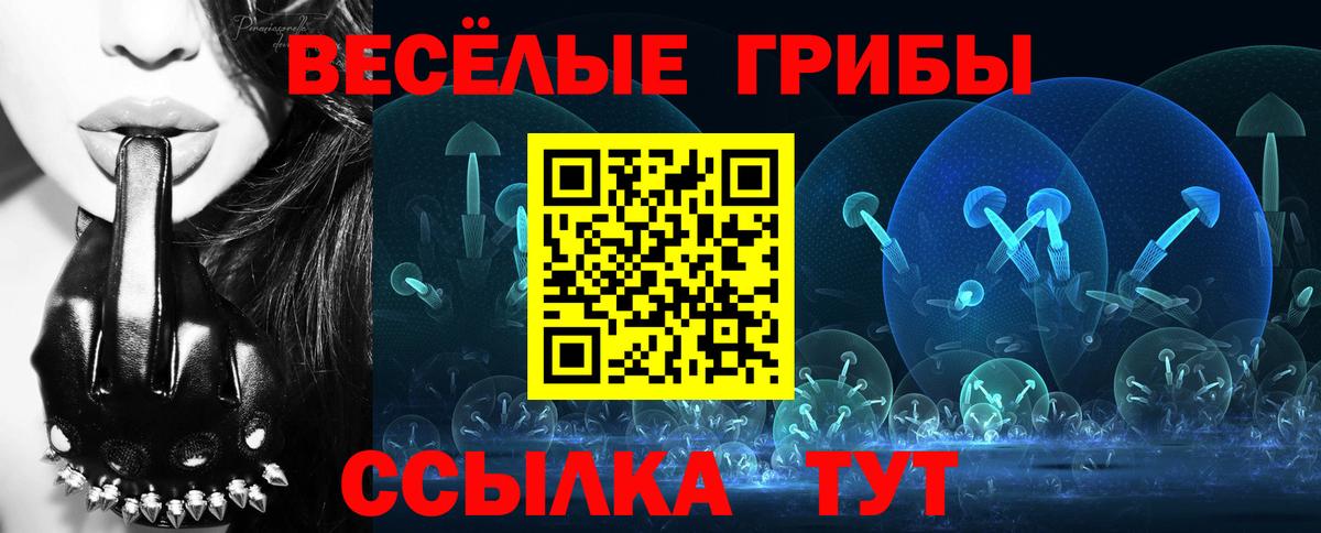 Галлюциногенные грибы прущие грибы Сланцы