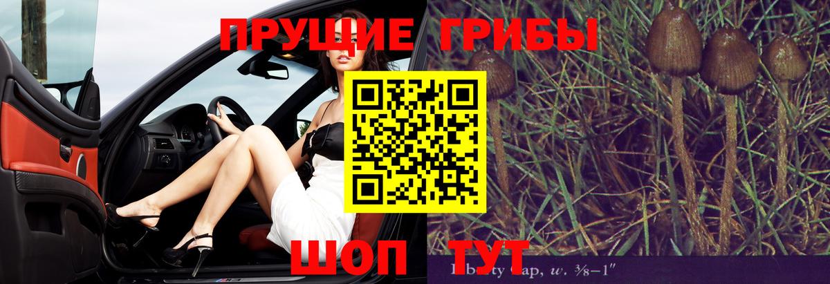 Конопля Сланцы